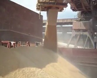 Cultivation & Growth